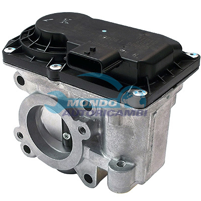 THROTTLE BODY