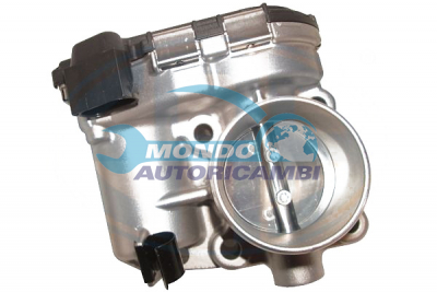 Throttle body