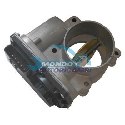 Throttle body