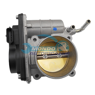 Throttle body