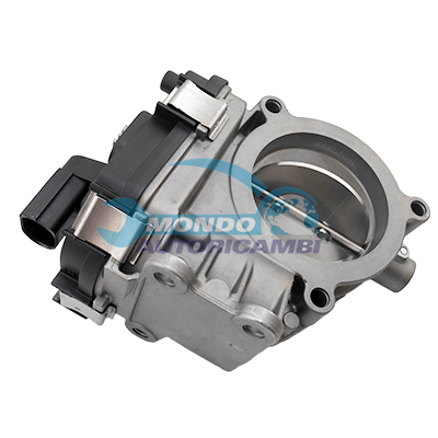 Throttle body