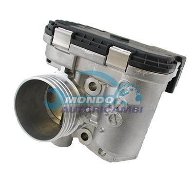 Throttle body