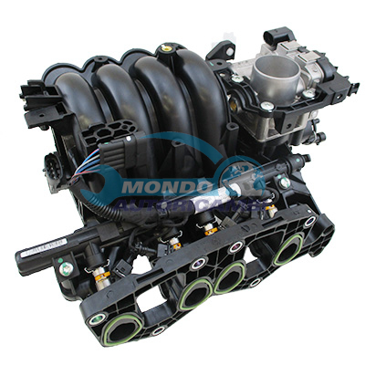 Inlet manifold module