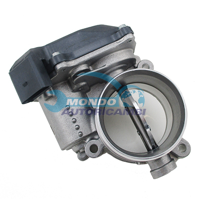 Throttle body