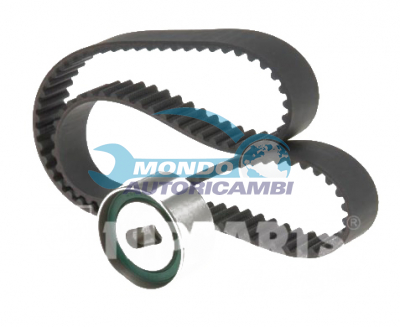 Timing Belt Kit