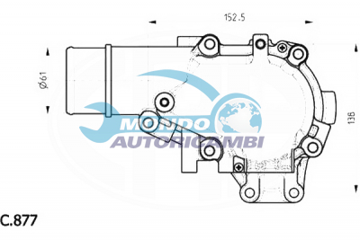 Thermostat, coolant